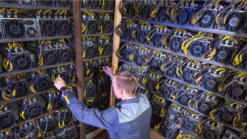 A bustling mining farm showcasing hosted rigs and their energy infrastructure