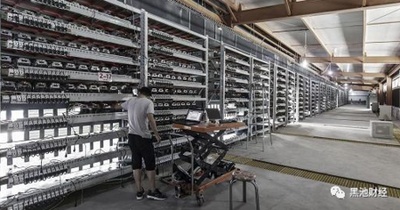 An overview of a bustling mining farm in the USA, highlighting the organized setup of various miners