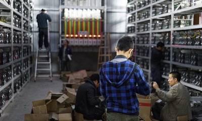 Large-scale mining farm hosting multiple rigs in a controlled environment